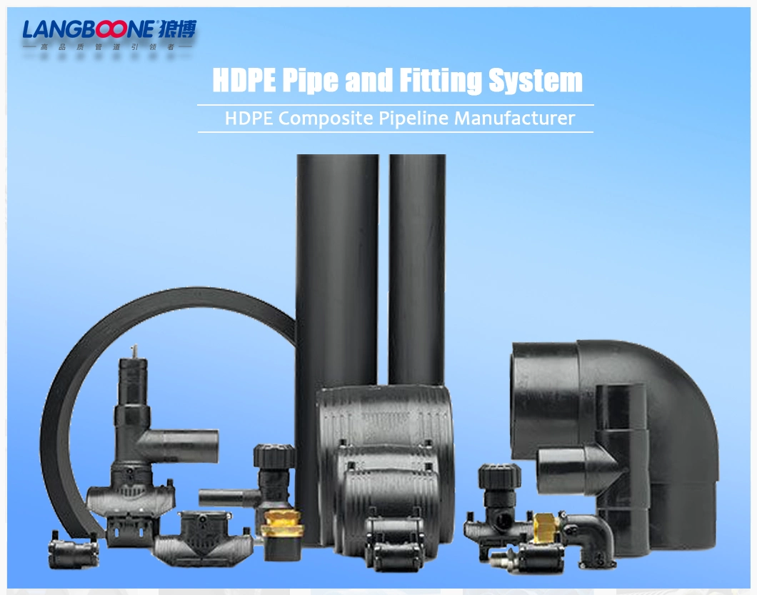 PE Pipe Fittings/HDPE Electrofusion Cap Electrofusion Coupler HDPE Butt Fusion Fitting