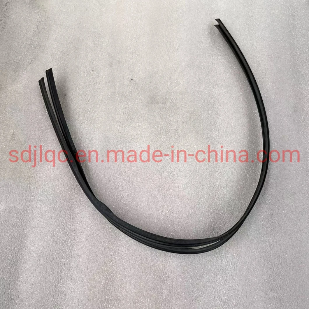 Hot Selling HOWO Spare Parts Sinotruk Sitrak C7h T5g T7h 810W96121-0156 Column a Outer Trim Panel Sealing Strip